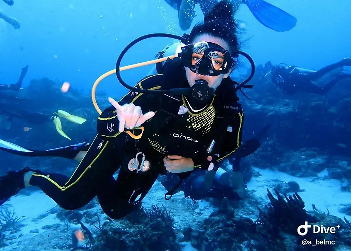 Mi Refugio Dive House Gasthof Cozumel