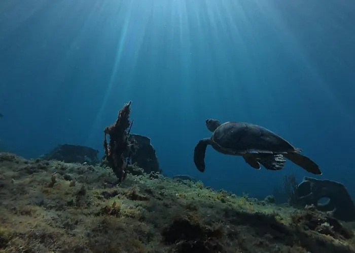 Mi Refugio Dive House Gasthof Cozumel