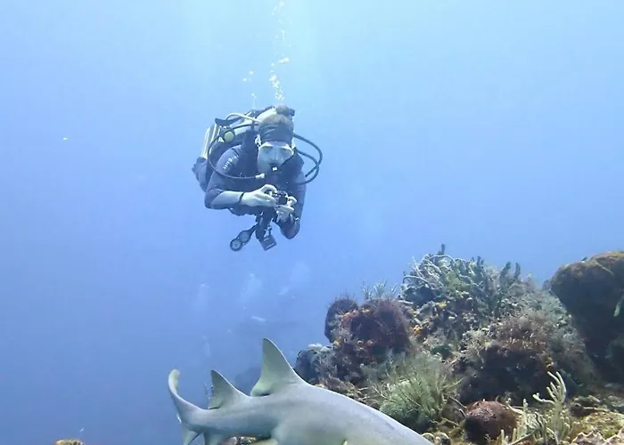 Gasthof Mi Refugio Dive House *