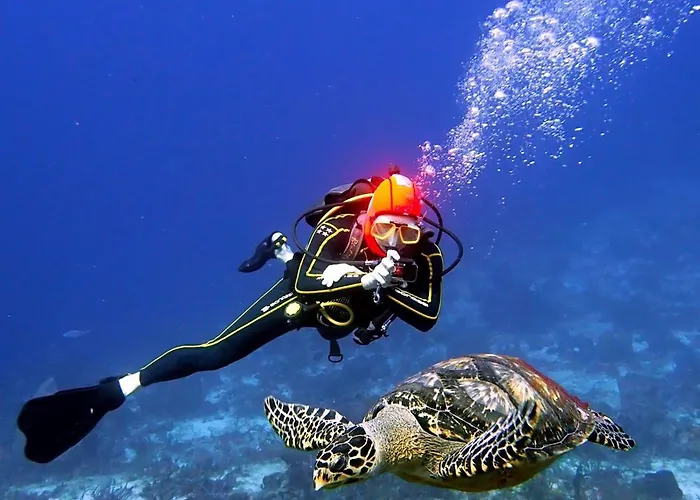 Mi Refugio Dive House Gasthof